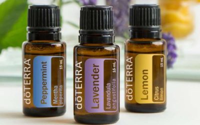 El trio inseparable: Menta, Limón y Lavanda